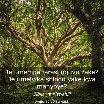 Picture 03 - Ayubu 39:19 SWHULB - Je umempa farasi nguvu zake? Je umeivika shingo - Bible Verse Picture