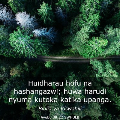 Picture 03 - Ayubu 39:22 SWHULB - Huidharau hofu na hashangazwi; huwa harudi nyuma - Bible Verse Picture