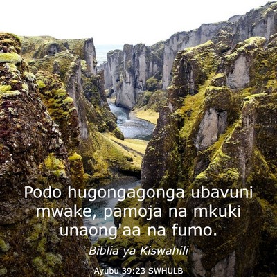 Picture 03 - Ayubu 39:23 SWHULB - Podo hugongagonga ubavuni mwake, pamoja na mkuki - Bible Verse Picture