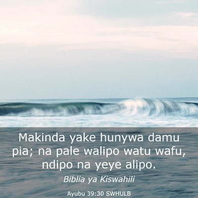 Picture 03 - Ayubu 39:30 SWHULB - Makinda yake hunywa damu pia; na pale walipo watu - Bible Verse Picture