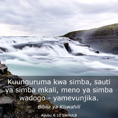 Picture 03 - Ayubu 4:10 SWHULB - Kuunguruma kwa simba, sauti ya simba mkali, meno - Bible Verse Picture