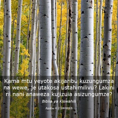 Picture 03 - Ayubu 4:2 SWHULB - Kama mtu yeyote akijaribu kuzungumza na wewe, je - Bible Verse Picture