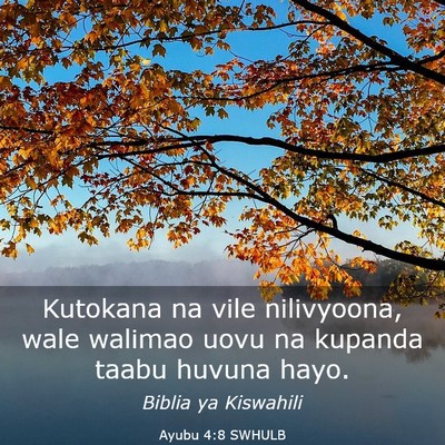 Picture 03 - Ayubu 4:8 SWHULB - Kutokana na vile nilivyoona, wale walimao uovu na - Bible Verse Picture