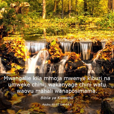 Picture 03 - Ayubu 40:12 SWHULB - Mwangalie kila mmoja mwenye kiburi na umweke - Bible Verse Picture