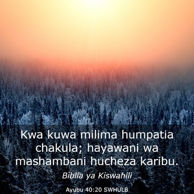 Picture 03 - Ayubu 40:20 SWHULB - Kwa kuwa milima humpatia chakula; hayawani wa - Bible Verse Picture