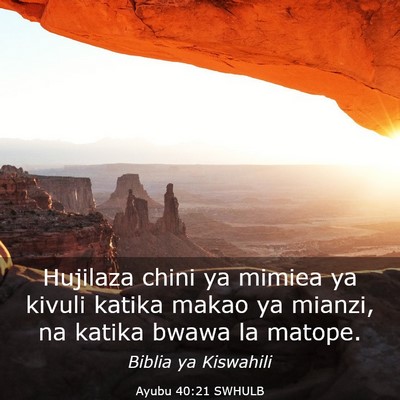 Picture 03 - Ayubu 40:21 SWHULB - Hujilaza chini ya mimiea ya kivuli katika makao - Bible Verse Picture
