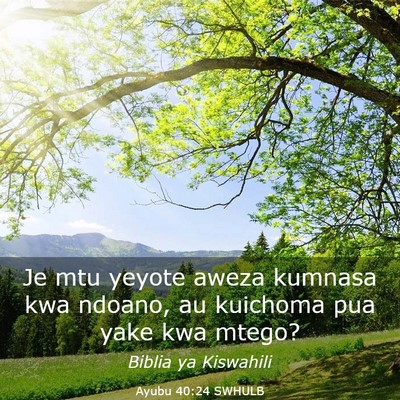 Picture 03 - Ayubu 40:24 SWHULB - Je mtu yeyote aweza kumnasa kwa ndoano, au - Bible Verse Picture