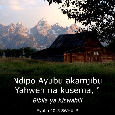 Picture 03 - Ayubu 40:3 SWHULB - Ndipo Ayubu akamjibu Yahweh na kusema, - Bible Verse Picture