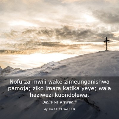 Picture 03 - Ayubu 41:23 SWHULB - Nofu za mwili wake zimeunganishwa pamoja; ziko - Bible Verse Picture