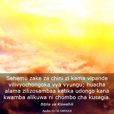 Picture 03 - Ayubu 41:30 SWHULB - Sehemu zake za chini zi kama vipande - Bible Verse Picture