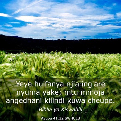 Picture 03 - Ayubu 41:32 SWHULB - Yeye huifanya njia ing'are nyuma yake; mtu mmoja - Bible Verse Picture