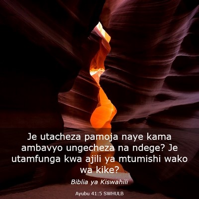 Picture 03 - Ayubu 41:5 SWHULB - Je utacheza pamoja naye kama ambavyo ungecheza na - Bible Verse Picture