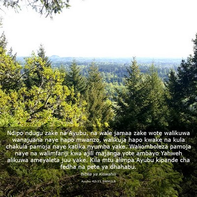Picture 03 - Ayubu 42:11 SWHULB - Ndipo ndugu zake na Ayubu, na wale jamaa zake - Bible Verse Picture