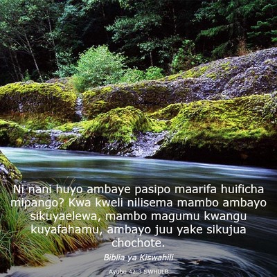 Picture 03 - Ayubu 42:3 SWHULB - Ni nani huyo ambaye pasipo maarifa huificha - Bible Verse Picture