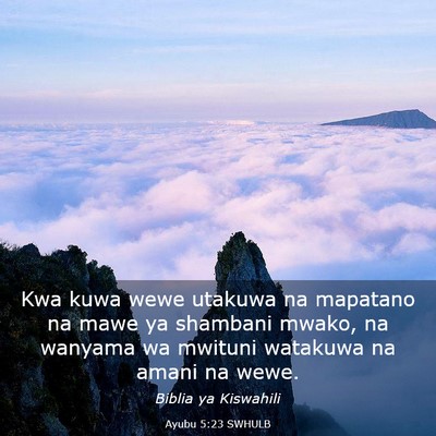 Picture 03 - Ayubu 5:23 SWHULB - Kwa kuwa wewe utakuwa na mapatano na mawe ya - Bible Verse Picture
