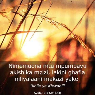 Picture 03 - Ayubu 5:3 SWHULB - Nimemuona mtu mpumbavu akishika mzizi, lakini - Bible Verse Picture