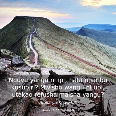 Picture 03 - Ayubu 6:11 SWHULB - Nguvu yangu ni ipi, hata nijaribu kusubiri? - Bible Verse Picture