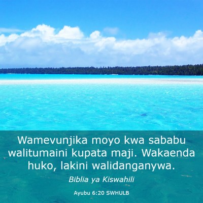 Picture 03 - Ayubu 6:20 SWHULB - Wamevunjika moyo kwa sababu walitumaini kupata - Bible Verse Picture