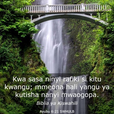 Picture 03 - Ayubu 6:21 SWHULB - Kwa sasa ninyi rafiki si kitu kwangu; mmeona hali - Bible Verse Picture