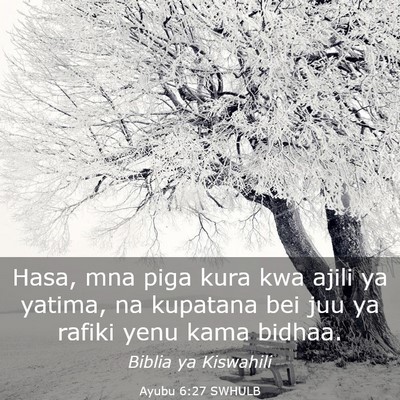 Picture 03 - Ayubu 6:27 SWHULB - Hasa, mna piga kura kwa ajili ya yatima, na - Bible Verse Picture