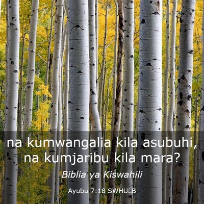 Picture 03 - Ayubu 7:18 SWHULB - na kumwangalia kila asubuhi, na kumjaribu kila - Bible Verse Picture