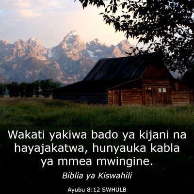 Picture 03 - Ayubu 8:12 SWHULB - Wakati yakiwa bado ya kijani na hayajakatwa, - Bible Verse Picture