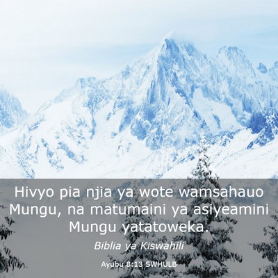 Picture 03 - Ayubu 8:13 SWHULB - Hivyo pia njia ya wote wamsahauo Mungu, na - Bible Verse Picture