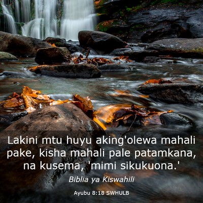 Picture 03 - Ayubu 8:18 SWHULB - Lakini mtu huyu aking'olewa mahali pake, kisha - Bible Verse Picture