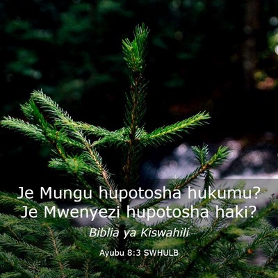 Picture 03 - Ayubu 8:3 SWHULB - Je Mungu hupotosha hukumu? Je Mwenyezi hupotosha - Bible Verse Picture
