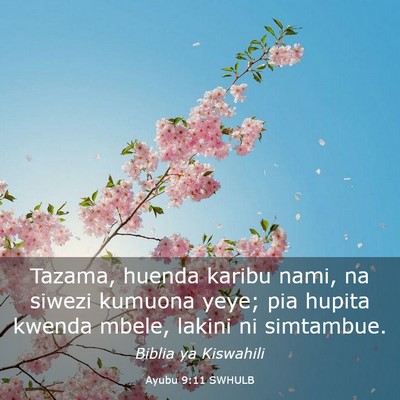 Picture 03 - Ayubu 9:11 SWHULB - Tazama, huenda karibu nami, na siwezi kumuona - Bible Verse Picture