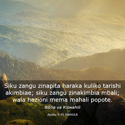 Picture 03 - Ayubu 9:25 SWHULB - Siku zangu zinapita haraka kuliko tarishi - Bible Verse Picture