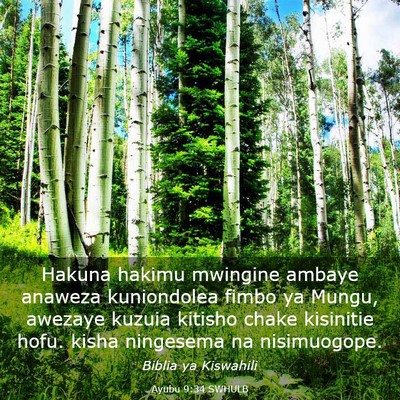 Picture 03 - Ayubu 9:34 SWHULB - Hakuna hakimu mwingine ambaye anaweza kuniondolea - Bible Verse Picture