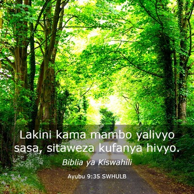 Picture 03 - Ayubu 9:35 SWHULB - Lakini kama mambo yalivyo sasa, sitaweza kufanya - Bible Verse Picture