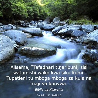 Picture 03 - Danieli 1:12 SWHULB - Alisema, “Tafadhari tujaribuni, sisi watumishi - Bible Verse Picture