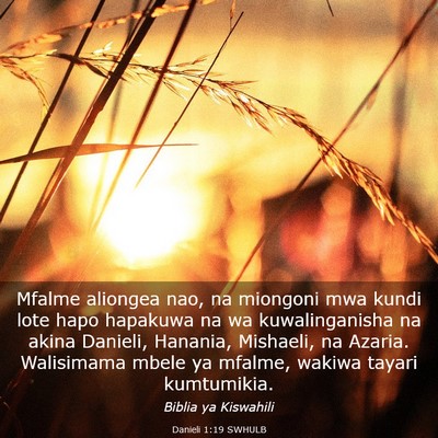 Picture 03 - Danieli 1:19 SWHULB - Mfalme aliongea nao, na miongoni mwa kundi lote - Bible Verse Picture
