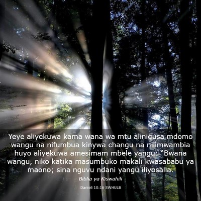 Picture 03 - Danieli 10:16 SWHULB - Yeye aliyekuwa kama wana wa mtu alinigusa mdomo - Bible Verse Picture