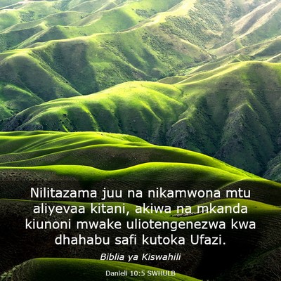 Picture 03 - Danieli 10:5 SWHULB - Nilitazama juu na nikamwona mtu aliyevaa kitani, - Bible Verse Picture