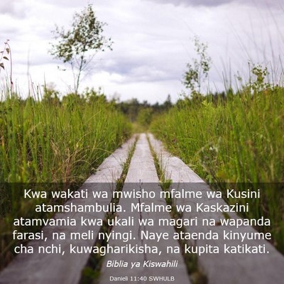 Picture 03 - Danieli 11:40 SWHULB - Kwa wakati wa mwisho mfalme wa Kusini - Bible Verse Picture