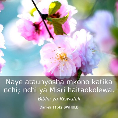 Picture 03 - Danieli 11:42 SWHULB - Naye ataunyosha mkono katika nchi; nchi ya Misri - Bible Verse Picture