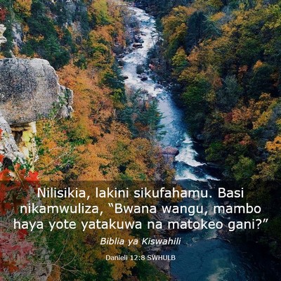 Picture 03 - Danieli 12:8 SWHULB - Nilisikia, lakini sikufahamu. Basi nikamwuliza, - Bible Verse Picture