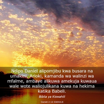 Picture 03 - Danieli 2:14 SWHULB - Ndipo Daniel alipomjibu kwa busara na umakini, - Bible Verse Picture