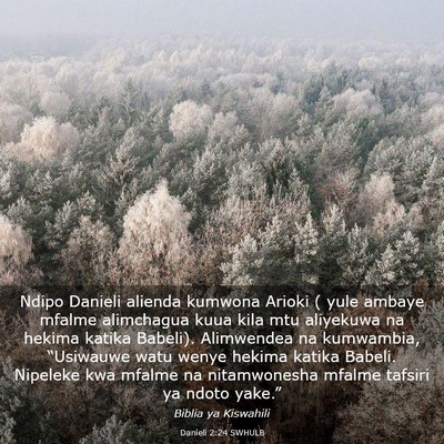 Picture 03 - Danieli 2:24 SWHULB - Ndipo Danieli alienda kumwona Arioki ( yule - Bible Verse Picture