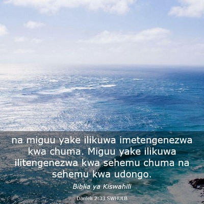 Picture 03 - Danieli 2:33 SWHULB - na miguu yake ilikuwa imetengenezwa kwa chuma. - Bible Verse Picture
