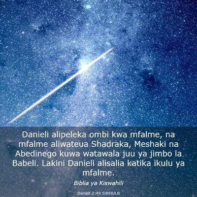 Picture 03 - Danieli 2:49 SWHULB - Danieli alipeleka ombi kwa mfalme, na mfalme - Bible Verse Picture