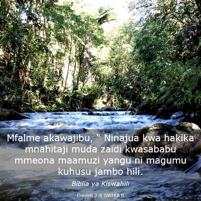 Picture 03 - Danieli 2:8 SWHULB - Mfalme akawajibu, “ Ninajua kwa hakika - Bible Verse Picture