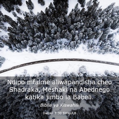 Picture 03 - Danieli 3:30 SWHULB - Ndipo mfalme aliwapandisha cheo Shadraka, Meshaki - Bible Verse Picture