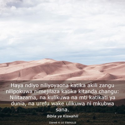 Picture 03 - Danieli 4:10 SWHULB - Haya ndiyo niliyoyaona katika akili zangu - Bible Verse Picture