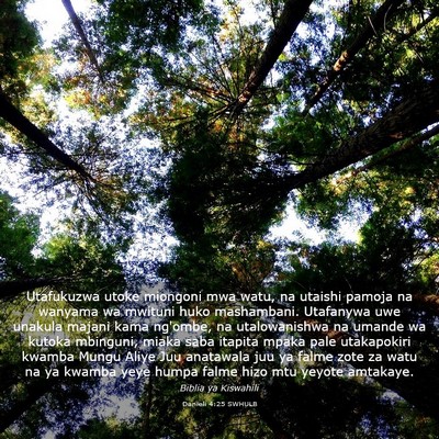 Picture 03 - Danieli 4:25 SWHULB - Utafukuzwa utoke miongoni mwa watu, na utaishi - Bible Verse Picture