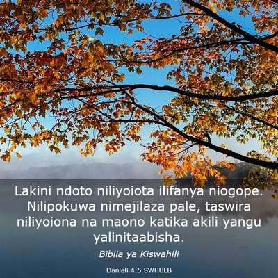 Picture 03 - Danieli 4:5 SWHULB - Lakini ndoto niliyoiota ilifanya niogope. - Bible Verse Picture