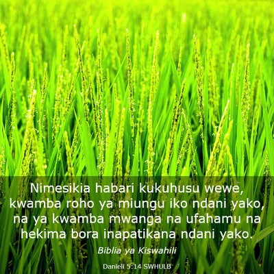 Picture 03 - Danieli 5:14 SWHULB - Nimesikia habari kukuhusu wewe, kwamba roho ya - Bible Verse Picture